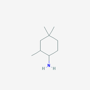 molecular formula C9H19N B1374667 2,4,4-三甲基环己烷-1-胺 CAS No. 1375982-88-9