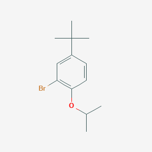molecular formula C13H19BrO B1374758 2-Bromo-4-t-butyl-1-isopropoxybenzene CAS No. 223768-39-6
