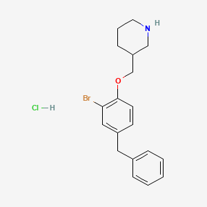 molecular formula C19H23BrClNO B1374862 3-[(4-Benzyl-2-bromophenoxy)methyl]piperidine hydrochloride CAS No. 1220035-21-1