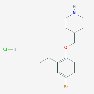 molecular formula C14H21BrClNO B1374863 4-[(4-溴-2-乙基苯氧基)甲基]哌啶盐酸盐 CAS No. 1219967-59-5