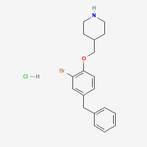 molecular formula C19H23BrClNO B1374864 4-[(4-Benzyl-2-bromophenoxy)methyl]piperidine hydrochloride CAS No. 1220017-58-2