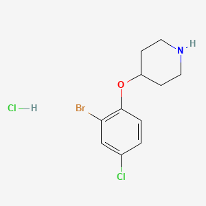 molecular formula C11H14BrCl2NO B1374866 4-(2-Bromo-4-chlorophenoxy)piperidine hydrochloride CAS No. 1220018-77-8