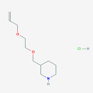 molecular formula C11H22ClNO2 B1374867 3-{[2-(烯丙氧基)乙氧基]甲基}哌啶盐酸盐 CAS No. 1220017-80-0