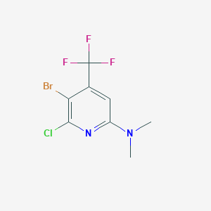 molecular formula C8H7BrClF3N2 B1374899 (5-Bromo-6-chloro-4-trifluoromethyl-pyridin-2-YL)-dimethyl-amine CAS No. 1160995-09-4