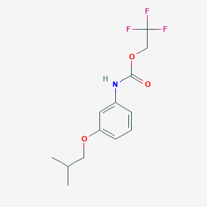 molecular formula C13H16F3NO3 B1375254 2,2,2-三氟乙基 N-[3-(2-甲基丙氧基)苯基]氨基甲酸酯 CAS No. 1478813-80-7