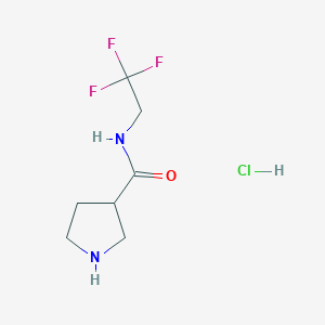 molecular formula C7H12ClF3N2O B1375434 N-(2,2,2-trifluoroethyl)pyrrolidine-3-carboxamide hydrochloride CAS No. 1803587-36-1