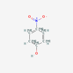 4-Nitrophenol-UL-14C