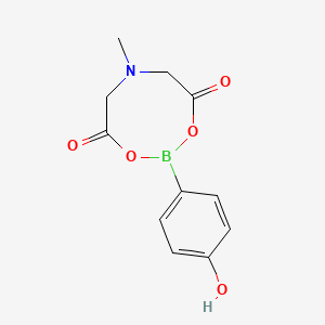 molecular formula C11H12BNO5 B1375492 2-(4-Hydroxyphenyl)-6-methyl-1,3,6,2-dioxazaborocane-4,8-dione CAS No. 1312788-59-2