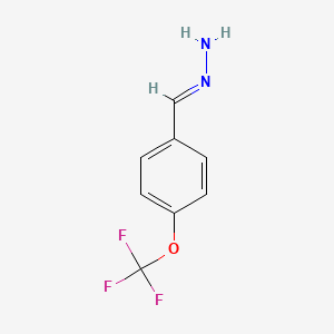 (E)-[4-(trifluoromethoxy)phenyl]methylidenehydrazine