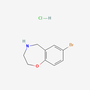 molecular formula C9H11BrClNO B1375531 7-溴-2,3,4,5-四氢-1,4-苯并噁唑啉盐酸盐 CAS No. 740842-72-2