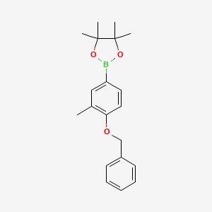 molecular formula C20H25BO3 B1375576 2-(4-(Benzyloxy)-3-methylphenyl)-4,4,5,5-tetramethyl-1,3,2-dioxaborolane CAS No. 1257078-80-0