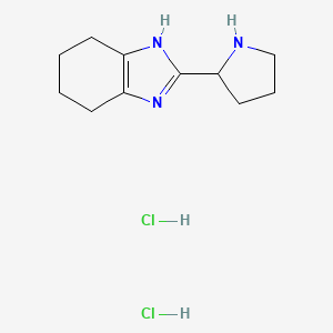 molecular formula C11H19Cl2N3 B1375739 2-(pyrrolidin-2-yl)-4,5,6,7-tetrahydro-1H-1,3-benzodiazole dihydrochloride CAS No. 1417634-98-0