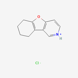 molecular formula C11H12ClNO B13758034 6,7,8,9-tetrahydro-[1]benzofuro[3,2-c]pyridin-2-ium;chloride CAS No. 49540-52-5