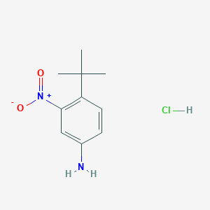 molecular formula C10H15ClN2O2 B1375825 4-(叔丁基)-3-硝基苯胺盐酸盐 CAS No. 6310-20-9