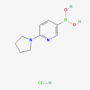 [6-(Pyrrolidin-1-yl)pyridin-3-yl]boronic acid hydrochloride