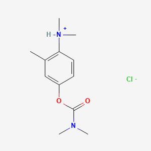 molecular formula C12H19ClN2O2 B13767803 [4-(dimethylcarbamoyloxy)-2-methylphenyl]-dimethylazanium;chloride CAS No. 63884-74-2