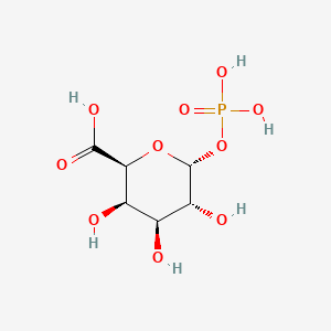 1-phospho-alpha-D-galacturonic acid