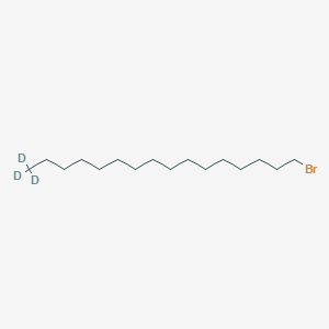 molecular formula C16H33B B1376988 1-溴十六烷-16,16,16-d3 CAS No. 284474-40-4