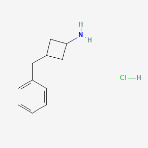 molecular formula C11H16ClN B1377044 3-Benzylcyclobutanamine hydrochloride CAS No. 1464091-61-9