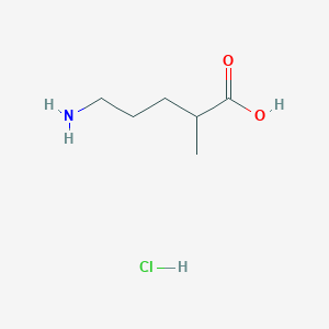 molecular formula C6H14ClNO2 B1377070 5-Amino-2-methylpentanoic acid hydrochloride CAS No. 1423023-83-9