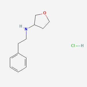 molecular formula C12H18ClNO B1377304 N-(2-phenylethyl)oxolan-3-amine hydrochloride CAS No. 1375989-93-7