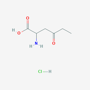 molecular formula C6H12ClNO3 B1377392 2-Amino-4-oxohexanoic acid hydrochloride CAS No. 16631-46-2