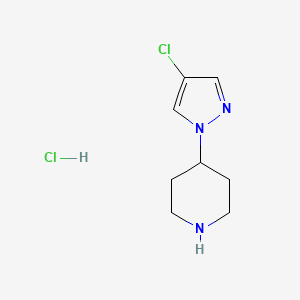 molecular formula C8H13Cl2N3 B1377482 4-(4-chloro-1H-pyrazol-1-yl)piperidine hydrochloride CAS No. 1443980-02-6