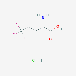 molecular formula C5H9ClF3NO2 B1377510 2-Amino-5,5,5-trifluoropentanoic acid hydrochloride CAS No. 1443979-43-8