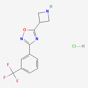 molecular formula C12H11ClF3N3O B1377663 5-氮杂环-3-基-3-[3-(三氟甲基)苯基]-1,2,4-恶二唑盐酸盐 CAS No. 1351659-00-1