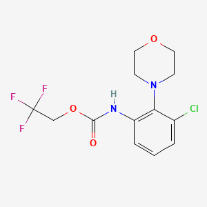 molecular formula C13H14ClF3N2O3 B1377665 2,2,2-三氟乙基 N-[3-氯-2-(吗啉-4-基)苯基]氨基甲酸酯 CAS No. 1375238-97-3