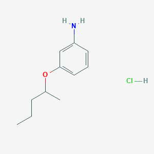 molecular formula C11H18ClNO B1377743 3-(戊-2-氧基)苯胺盐酸盐 CAS No. 1375474-28-4