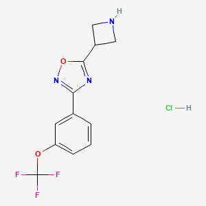 molecular formula C12H11ClF3N3O2 B1377768 5-氮杂环丁-3-基-3-[3-(三氟甲氧基)苯基]-1,2,4-恶二唑盐酸盐 CAS No. 1351584-79-6