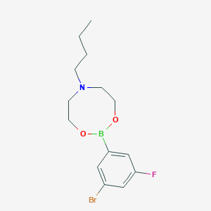 molecular formula C14H20BBrFNO2 B1378031 2-(3-溴-5-氟苯基)-6-丁基-1,3,6,2-二噁杂硼杂环丁烷 CAS No. 1190989-06-0