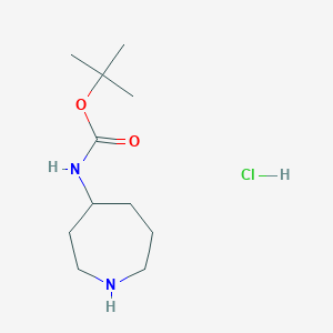 molecular formula C11H23ClN2O2 B1378044 Azepan-4-yl-carbamic acid tert-butyl ester hydrochloride CAS No. 1263378-54-6