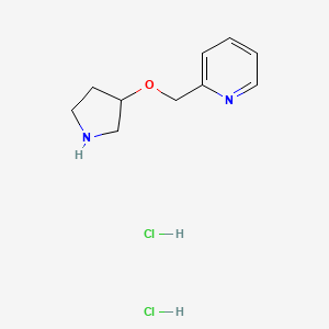 molecular formula C10H16Cl2N2O B1378123 2-[(吡咯烷-3-yloxy)甲基]吡啶二盐酸盐 CAS No. 1394041-85-0