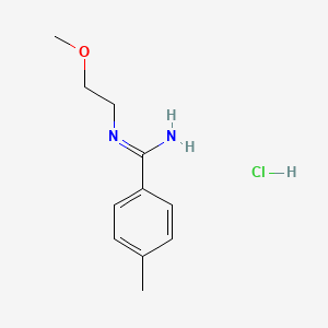 molecular formula C11H17ClN2O B1378126 N-(2-甲氧基乙基)-4-甲基苯-1-甲酰亚胺盐酸盐 CAS No. 1394040-28-8