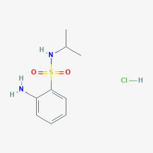 molecular formula C9H15ClN2O2S B1378167 2-氨基-N-异丙基苯磺酰胺盐酸盐 CAS No. 1365272-16-7