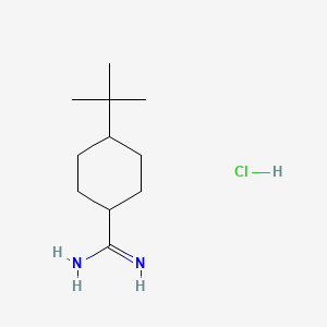 B1378269 4-Tert-butylcyclohexane-1-carboximidamide hydrochloride CAS No. 1394042-19-3
