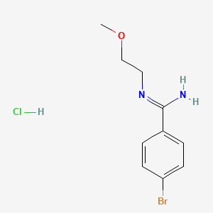 molecular formula C10H14BrClN2O B1378281 4-bromo-N-(2-methoxyethyl)benzene-1-carboximidamide hydrochloride CAS No. 1423029-77-9