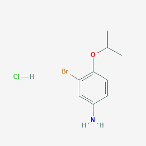 molecular formula C9H13BrClNO B1378310 3-Bromo-4-(propan-2-yloxy)aniline hydrochloride CAS No. 1394040-59-5