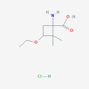molecular formula C9H18ClNO3 B1378782 1-氨基-3-乙氧基-2,2-二甲基环丁烷-1-甲酸盐酸盐 CAS No. 1796903-83-7