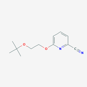 molecular formula C12H16N2O2 B1378797 6-[2-(叔丁氧基)乙氧基]吡啶-2-碳腈 CAS No. 1461704-72-2