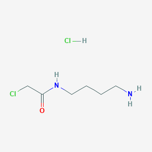 molecular formula C6H14Cl2N2O B1378861 N-(4-aminobutyl)-2-chloroacetamide hydrochloride CAS No. 1423029-28-0