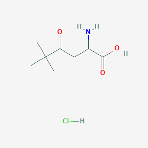 molecular formula C8H16ClNO3 B1378866 2-Amino-5,5-dimethyl-4-oxohexanoic acid hydrochloride CAS No. 1423024-68-3