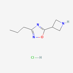 molecular formula C8H14ClN3O B1379095 5-Azetidin-3-yl-3-propyl-1,2,4-oxadiazole hydrochloride CAS No. 1426291-26-0