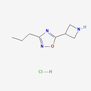 molecular formula C8H14ClN3O B1379095 5-アゼチジン-3-イル-3-プロピル-1,2,4-オキサジアゾール塩酸塩 CAS No. 1426291-26-0