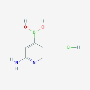 molecular formula C5H8BClN2O2 B1379133 (2-氨基吡啶-4-基)硼酸盐酸盐 CAS No. 2304633-95-0