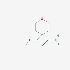 molecular formula C10H19NO2 B1379317 3-乙氧基-7-氧代螺[3.5]壬-1-胺 CAS No. 1803599-07-6