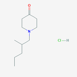 molecular formula C11H22ClNO B1379633 1-(2-甲基戊基)哌啶-4-酮盐酸盐 CAS No. 1803605-15-3