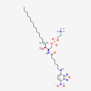 Fluorescent sphingomyelin